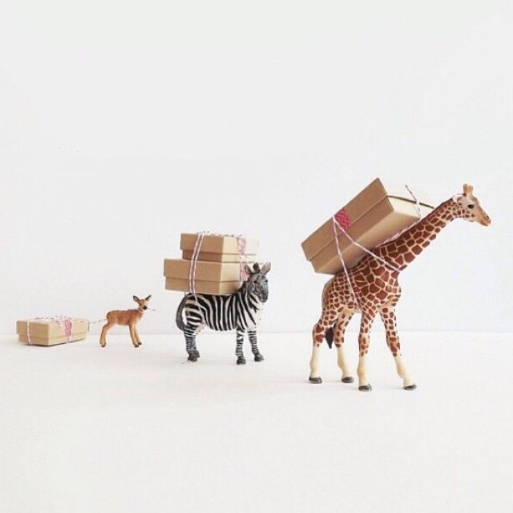 mommo design: IT'S TIME TO WRAP!