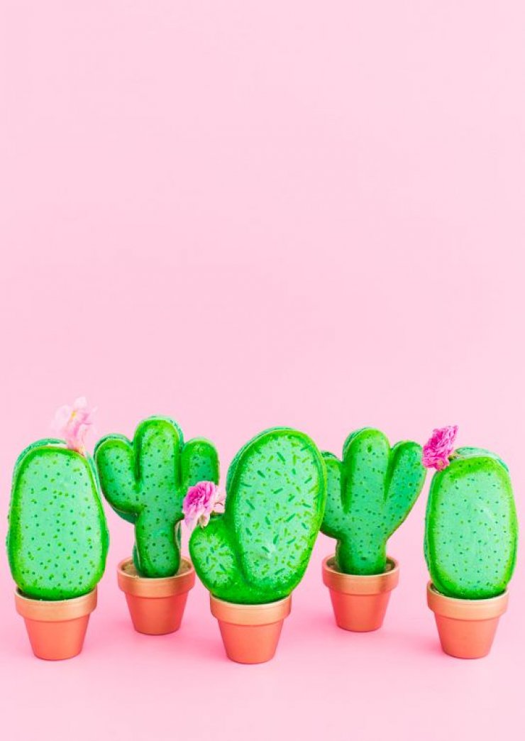 cactus love mommo design christmas cactus info