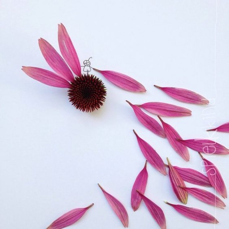 mommo design: DESIGN TIME - SPRING ON INSTAGRAM