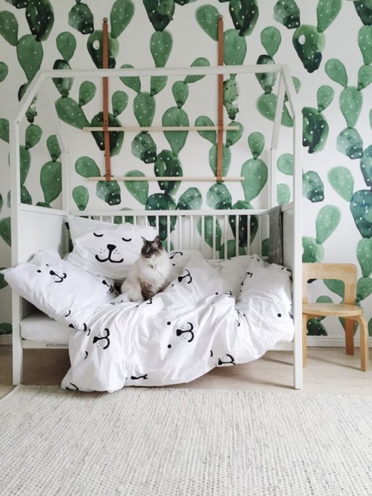CACTUS DECOR | Mommo Design